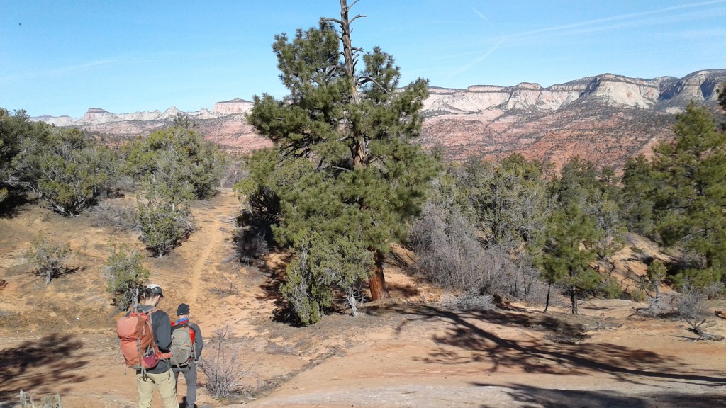 wilderness near Zion