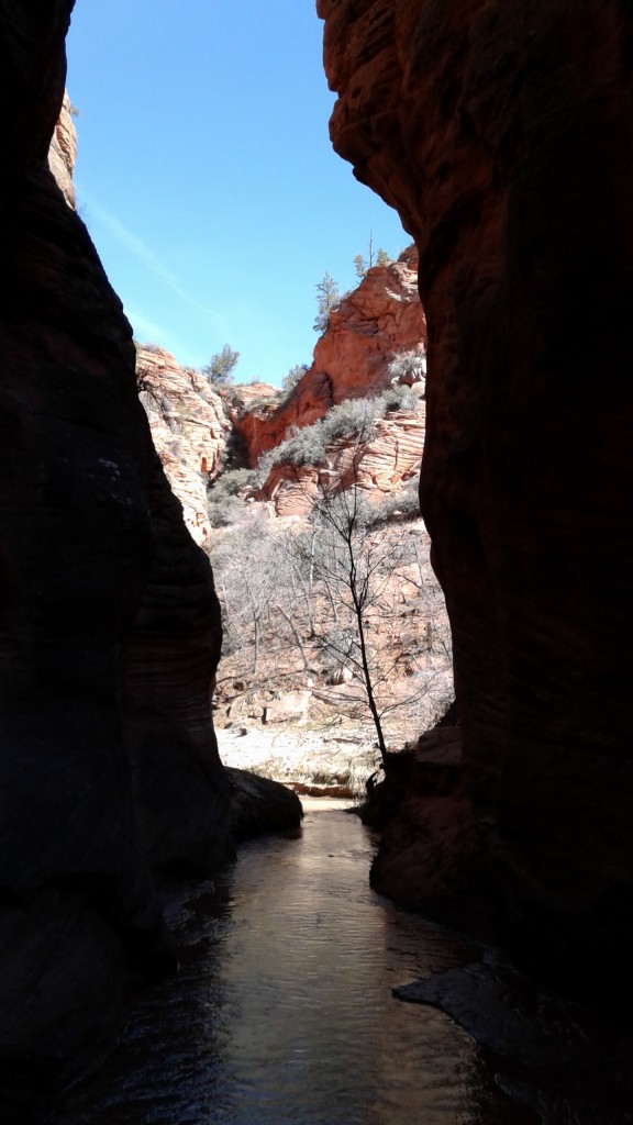 East Fork of the Virgin River