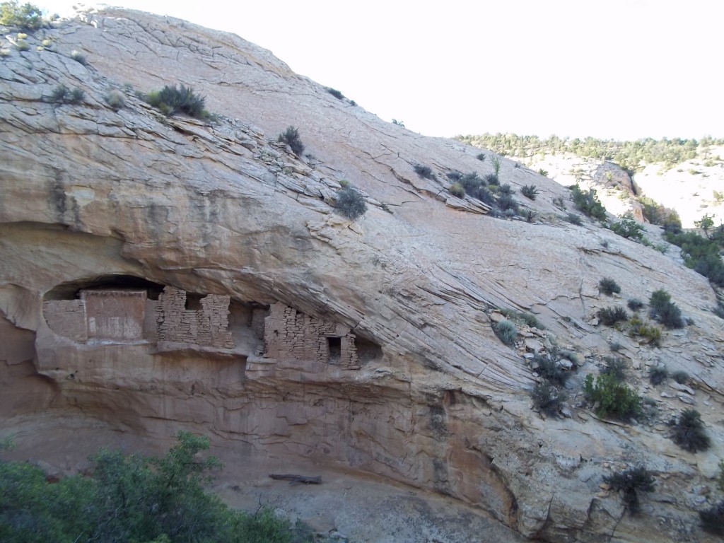 Anasazi Cliff Dwelling