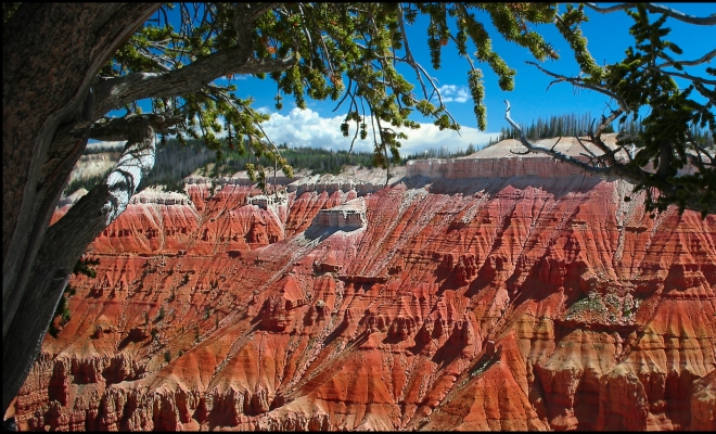 Snow at Cedar Breaks