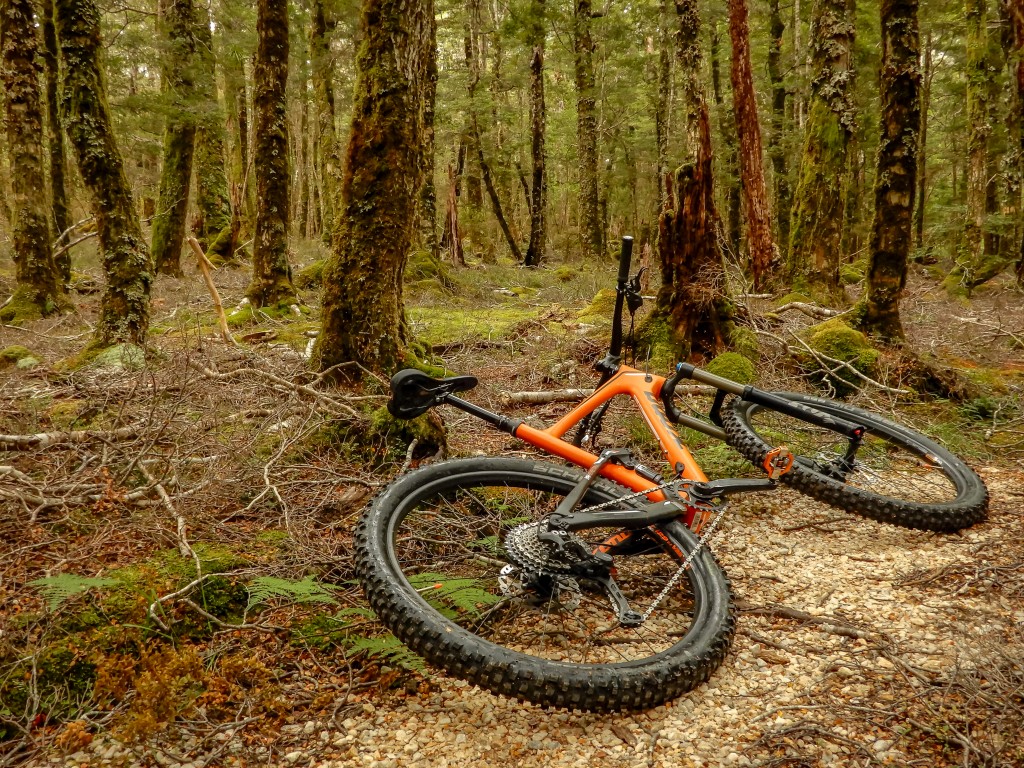Mountain Bike New Zealand