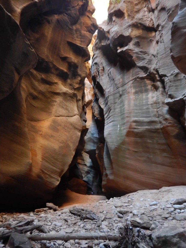 Pins Creek slot canyon Zion National Park