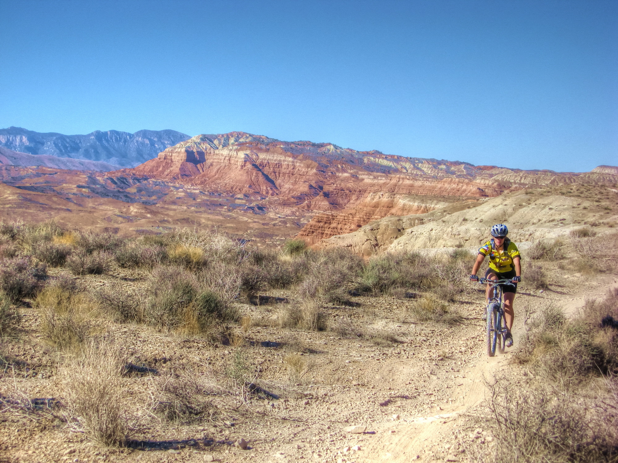 Stuki mountain bike trail