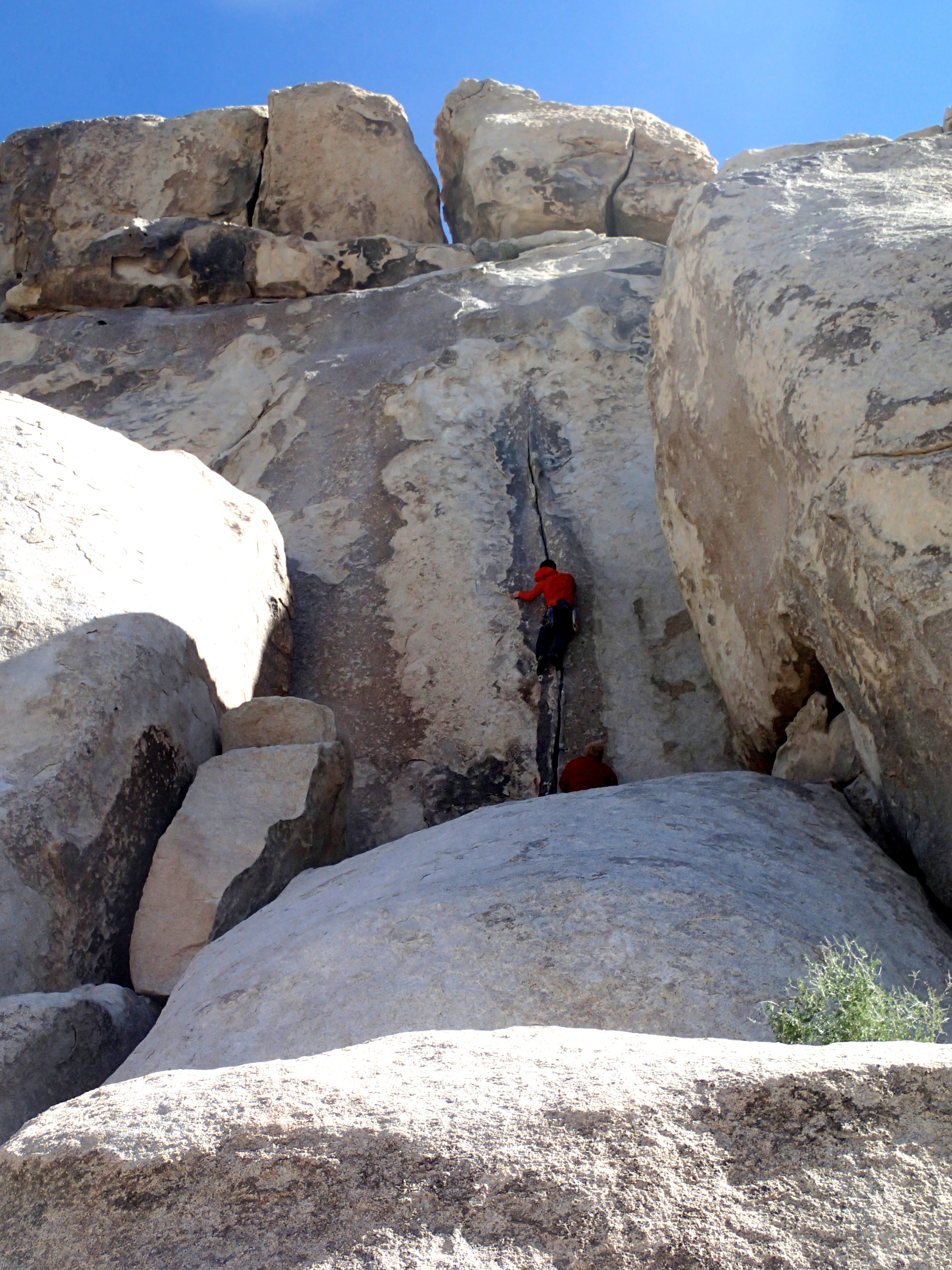 Joshua Tree Road Trip