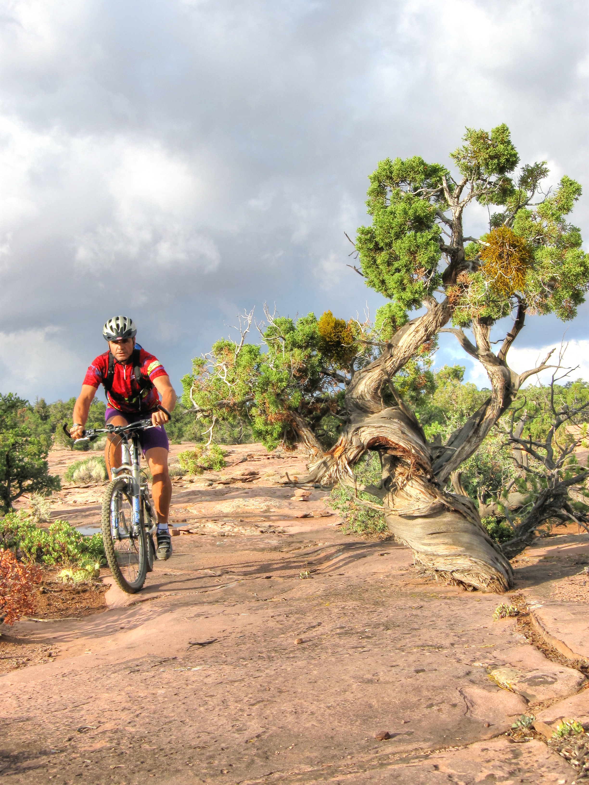 mountain biking little creek mesa