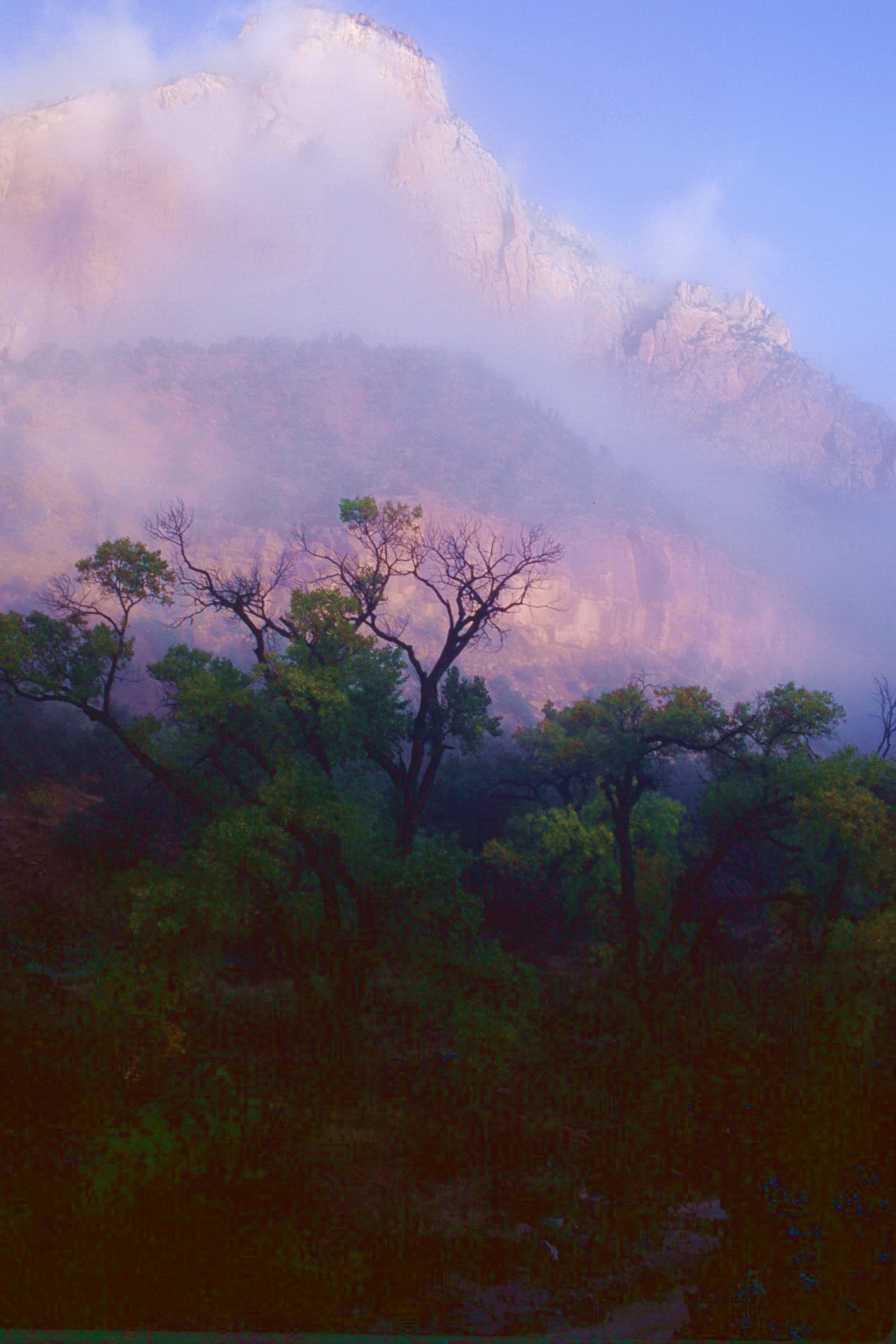 the sentinel, Zion National Park, Utah