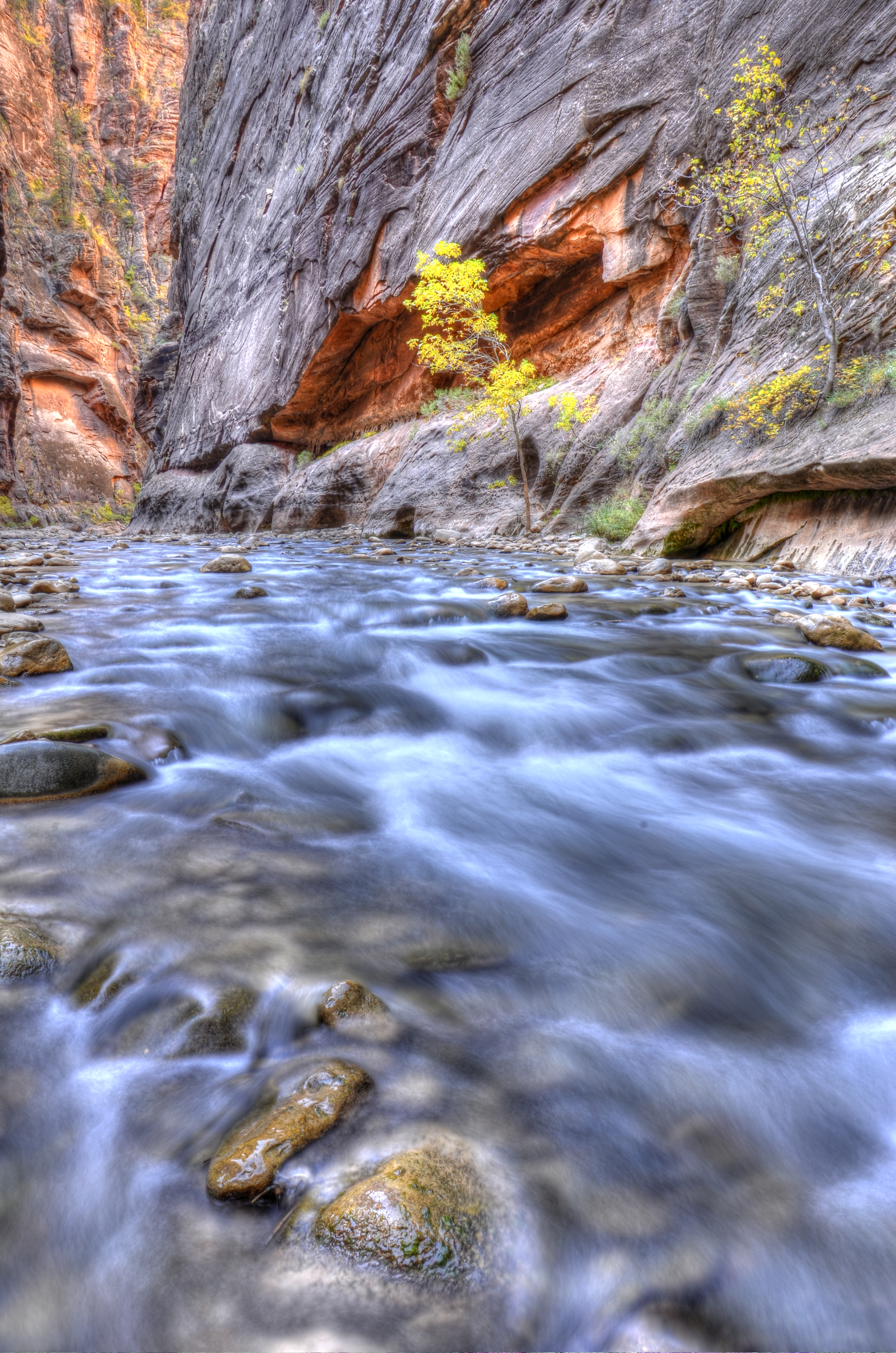 Virgin River Narrows, Zion National Park, Utah