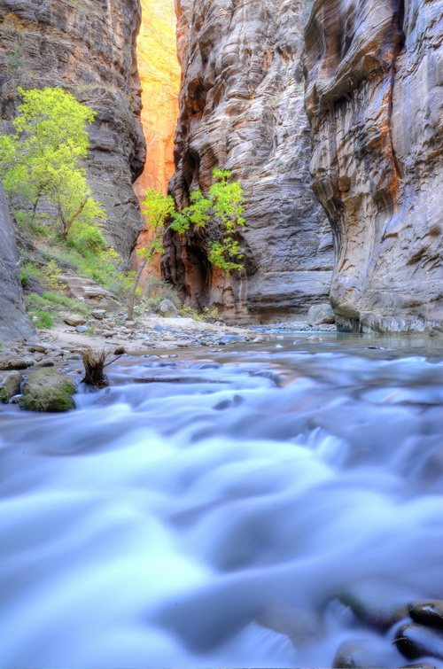 Virgin river narrows zion national park, utah