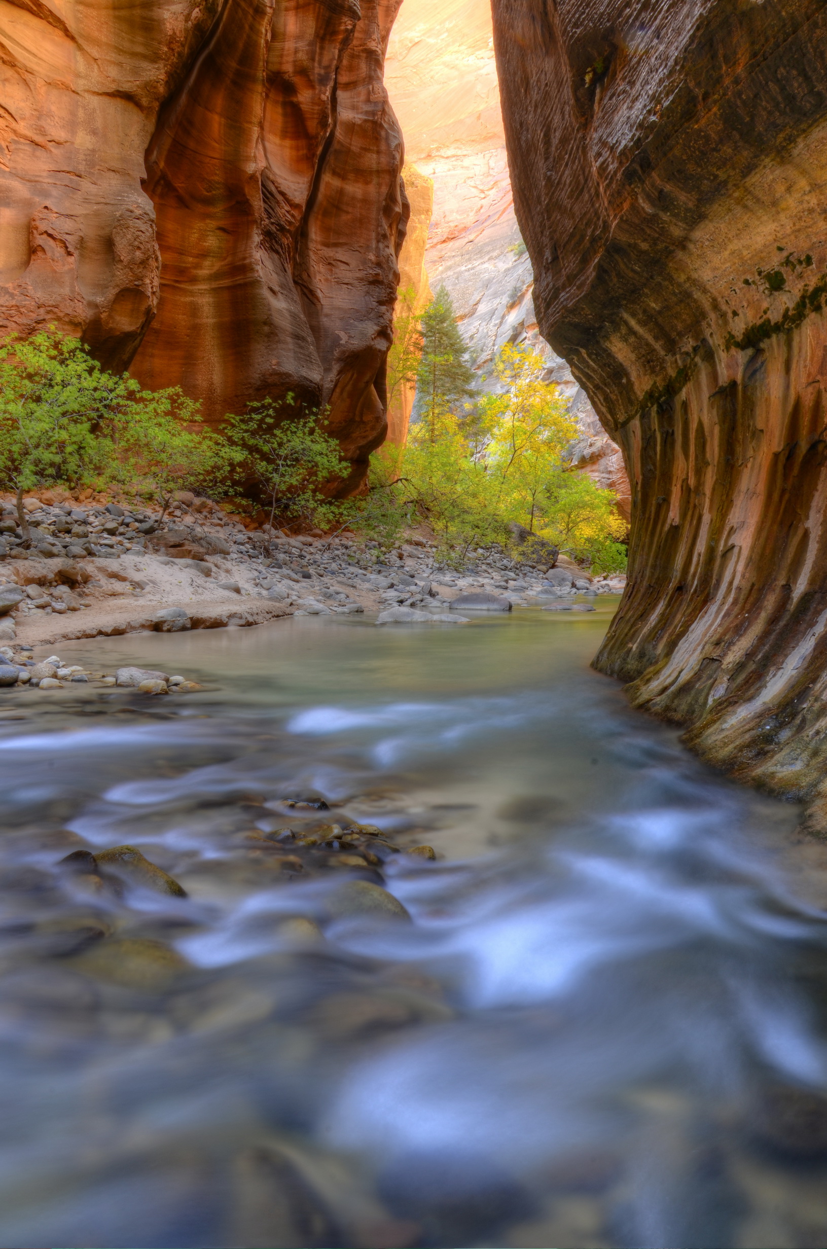 Virgin river narrows zion national park, utah